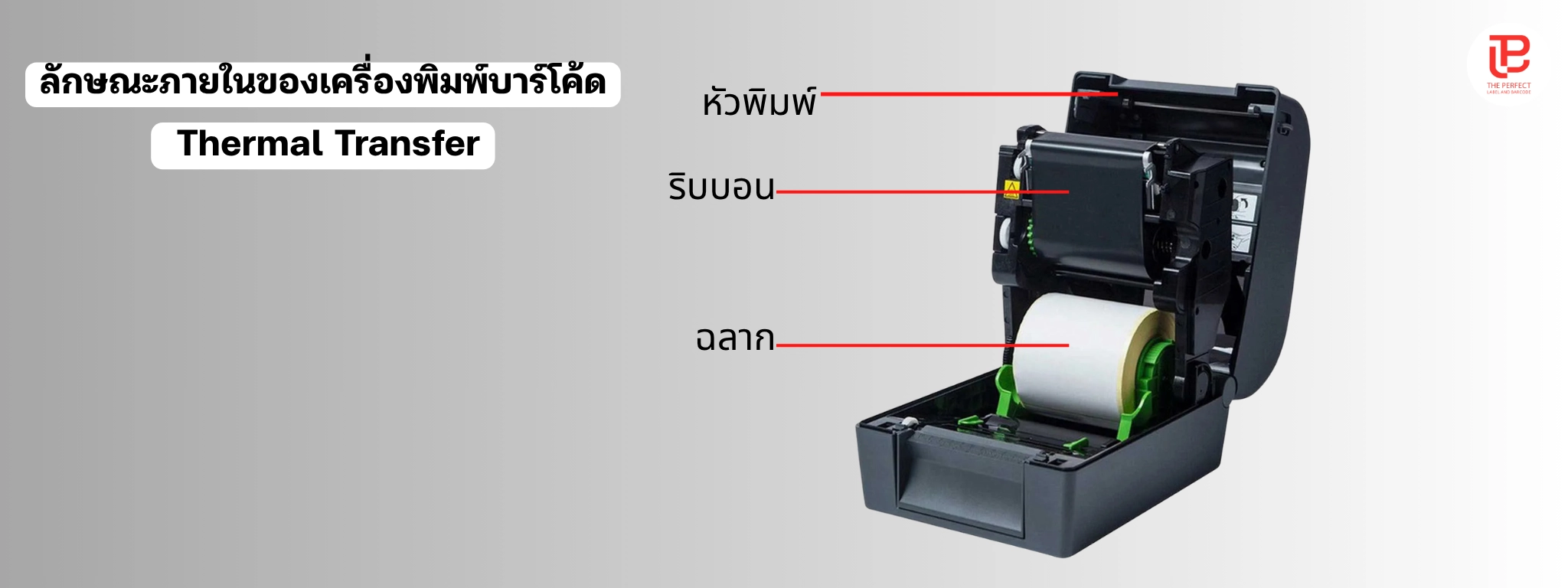 Printer Thermal Transfer